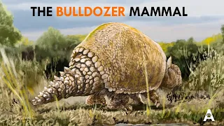 The Armadillo The Size Of A Beetle (The Car)