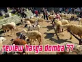 Download Lagu REVIEW HARGA DOMBA ??? PASAR PON TRENGGALEK