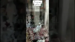 تبلیغی جماعت والوں کو قیمتی نصیحت مولانا ابراہیم دیولہ Tabligh Walo Ko Naihat M Ibrahim Devla 