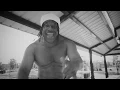 My Waistband Looks Like A Gun Shop | Avalanche The Architect Official Video Page