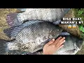 Download Lagu Full strike ..! mancing di spot tak terjamah hasilnya di luar dugaan