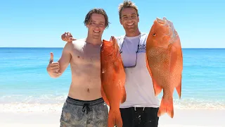 Sharks & BIG fish Spearfishing PARADISE ft. Nick Fry || ‘B2B CASTAWAYS 3’