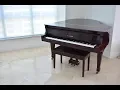 Download Lagu How we move a baby grand piano - Top Notch Movers