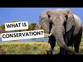 What is conservation