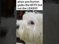when kiwi goes BOMBASTIC SIDE EYE meme