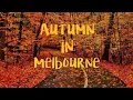 Download Lagu Autumn in Melbourne Music