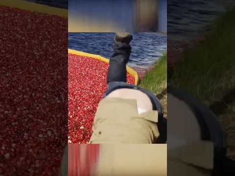 That Time I Became a GIF...