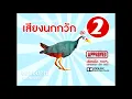 Download Lagu เสียงนกกวัก ชุดที่ 2 White-breasted waterhen Burung Ruak Ruak mp3 (Re-upload)