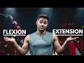 Flexion vs Extension EXPLAINED