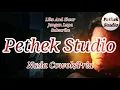 Download Lagu Di Atas Bumi Kita Berpijak Padi Karaoke Nada Cowok/Pria/Pethek Studio (Ecko A.P)