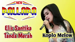 Download New Pallapa Tanda Merah - Elis santika Koplo Melow MP3