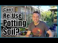 Can I Re-use Old Potting Soil in Containers How to Revitalize Old Potting Soil
