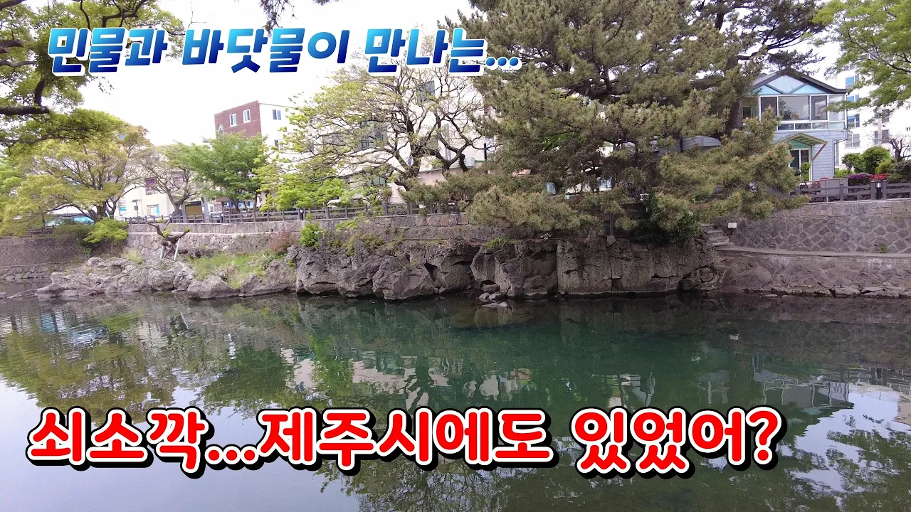 관련 영상 썸네일