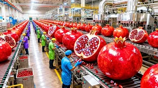 How Pomegranate Juice Is Made in a Modern Factory 🍎 | From Fresh Pomegranate to Bottled Juice
