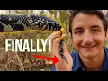 I ve Never Found This RARE Baby Snake Spring Herping North Carolina