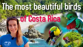 Download Birds of Costa Rica - A List Of The Most Beautiful Birds In Costa Rica - Costa Rica Birdwatching MP3