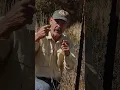How to CORRECTLY Shoot a Rifle