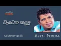 Download Lagu Watena Kandulu Pisalannata | Ajith Perera