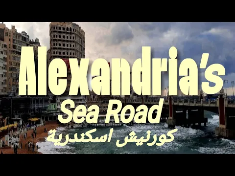 Alexandria (short film) (2024)