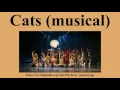 Cats musical