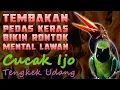 Download Lagu 🔴PALING DI CARI..!! TEMBAKAN PEDAS KERAS BIKIN RONTOK MENTAL LAWAN, CUCAK IJO ft TENGKEK UDANG
