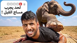 اكتشفت اغرب الاماكن في العالم ( فيل يسوي مساج !!😨)