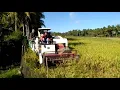 Download Lagu Panen padi di Desa Beru Beru Kec.Kalukku - Milik Anggota Petani Keren Mamuju