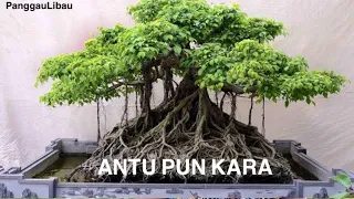 Download Jerita Antu Kara MP3