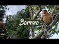 BORNEO | BACKPACKING TRIP 🇲🇾