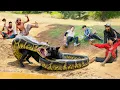 Download Lagu Smart DOG attacked by giant ANACONDA - What did the Female Hunter do?