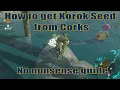 How to get Korok Seed from Cork guide Zelda TOTK