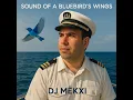 Download Lagu The Sound Of A Bluebird's Wings