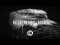 WYR GEMI - EAGLE (Roberto Kan Remix)