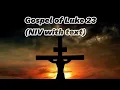 Luke 23 NIV Bible with text