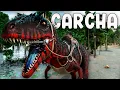 HOW TO TAME A CARCHARODONTOSAURUS AND ALL ITS ABILITIES PC PS and XBOX - ARK