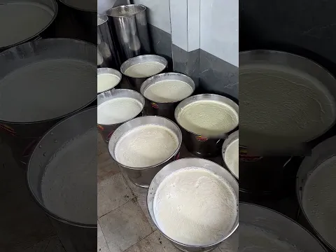 ⚡⚡Cow Ghee Making Process In Live⚡⚡#Shorts #FoodShorts #IndianFood #TeluguFood #Foodie