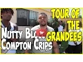 Nutty Blocc Compton Crip tour of Grandees area with Bay Locc Geechi Gotti Hacc 3 pt 1of2