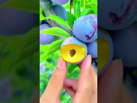 DO NOT TOUCH SOUND 😭
