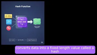 Hashing vs Encryption vs Masking vs Encoding Expla