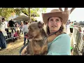 Meeting the World s Ugliest Dog Contest hopefuls at Sonoma County Fair