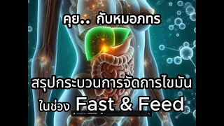 ทำไมช่วงที่ฟีดจึงต้องให้ความสำคัญกับระบบน้ำเหลืองและสมดุลพลังงาน