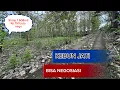 Tanah pekarangan kebun jati harga bisa dinegosiasi