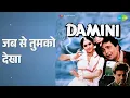 जब से तुमको देखा | Damini | Kumar Sanu | Sadhana Sargam Songs | Meenakshi Seshadri