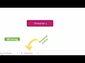 Working download button Beautiful download button using HTML CSS and little JavaScript