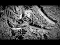 KATAKLYSM - The World Is A Dying Insect (OFFICIAL VIDEO)