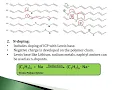 Conducting Polymer