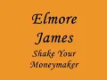 Elmore James - Shake Your Moneymaker.wmv