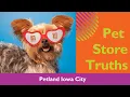 Pet Store Truths Why Petland Iowa City Is A Great Choice
