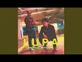 Lagu Lupa