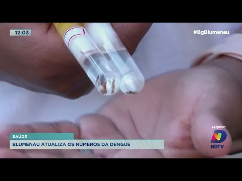 Blumenau atualiza número da dengue